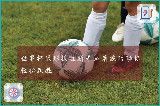 世界杯买球投注新手必看技巧助你轻松获胜