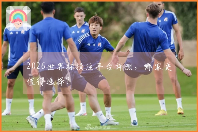 2026世界杯投注平台评测，哪家更值得选择？