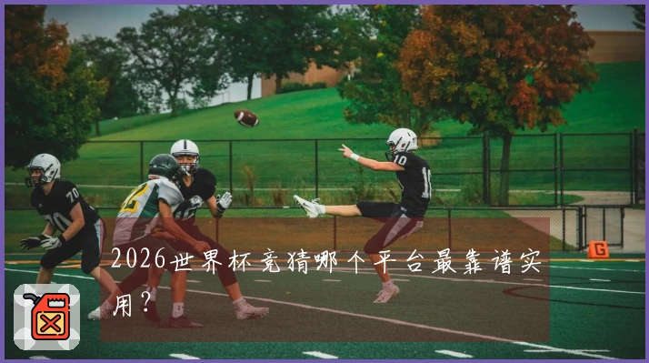 2026世界杯竞猜哪个平台最靠谱实用？