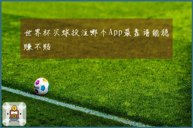 世界杯买球投注哪个App最靠谱能稳赚不赔