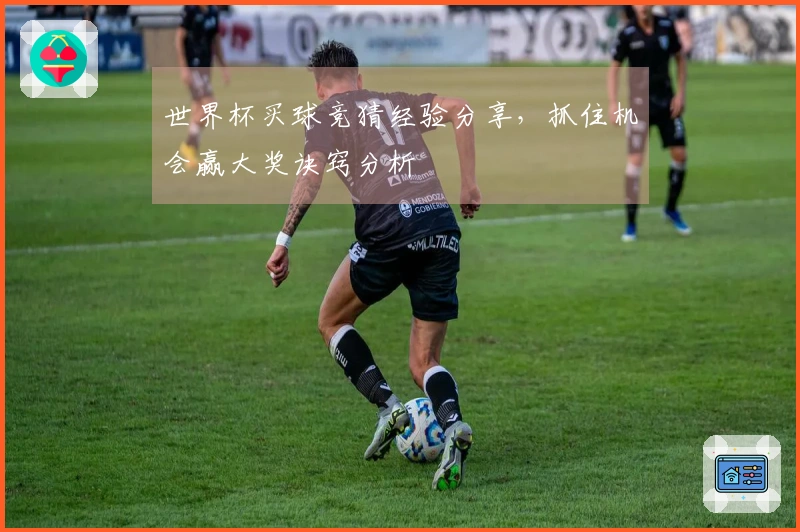 世界杯买球竞猜经验分享，抓住机会赢大奖诀窍分析