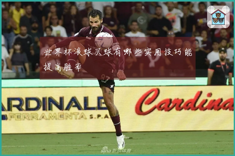世界杯滚球买球有哪些实用技巧能提高胜率